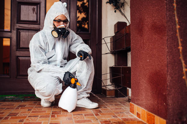Attic and Crawl Space Rodent Treatment in Konterra