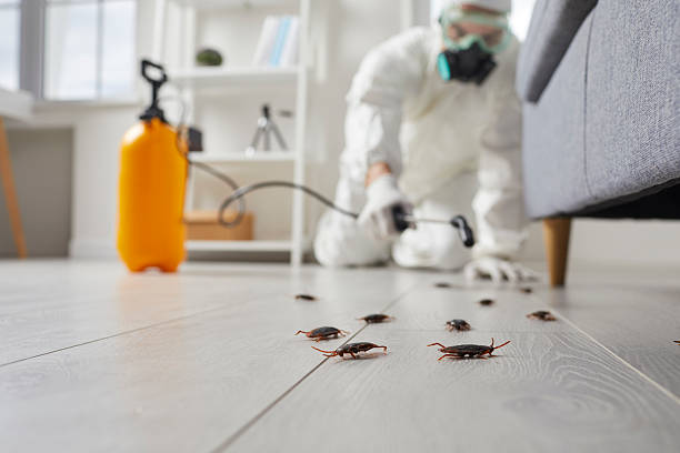 Commercial Rodent Management in Konterra
